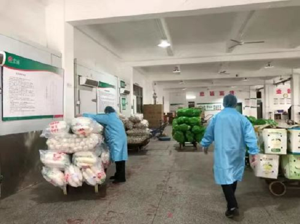 91香蕉视频软件下载安装
