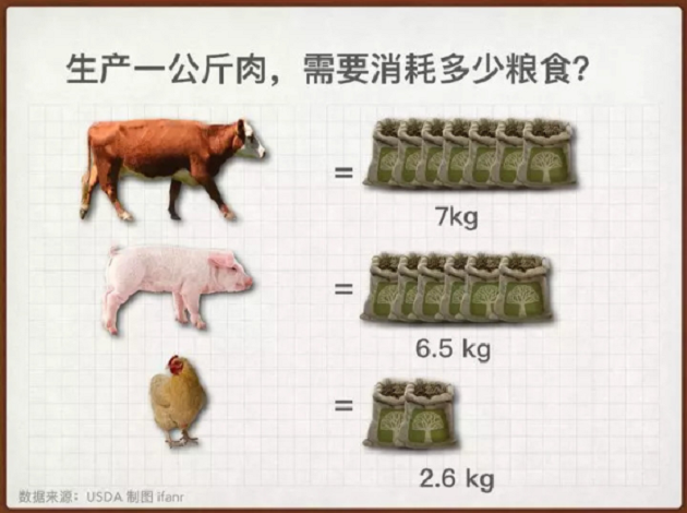 人造肉