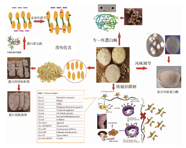 人造肉