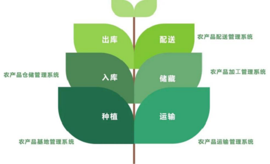 菜篮子基地