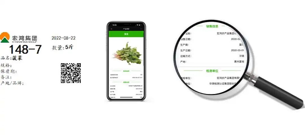 91香蕉视频软件下载安装