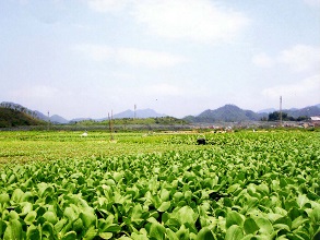 生态基地